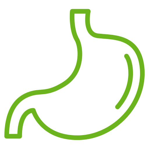 Ultraschall­­unter­suchung